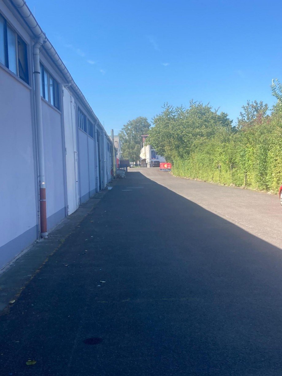 WhatsApp Bild 2024 08 19 um 14.47.04 07b3ea8e Halle Hattersheim
