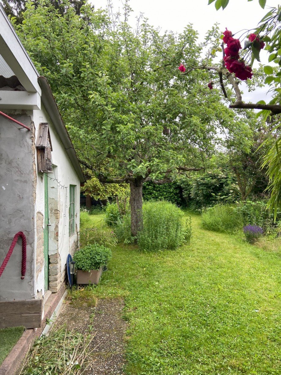 Aussen hinten (7) Garten Mai Haus Wiesbaden